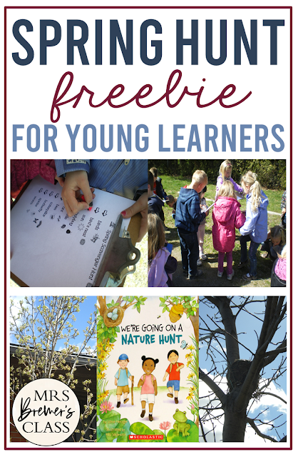 Outdoor Signs of Spring Scavenger Hunt freebie for Kindergarten and First Grade