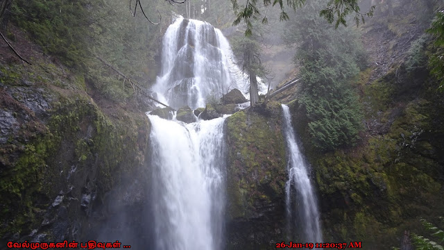 Falls Creek Falls Washington