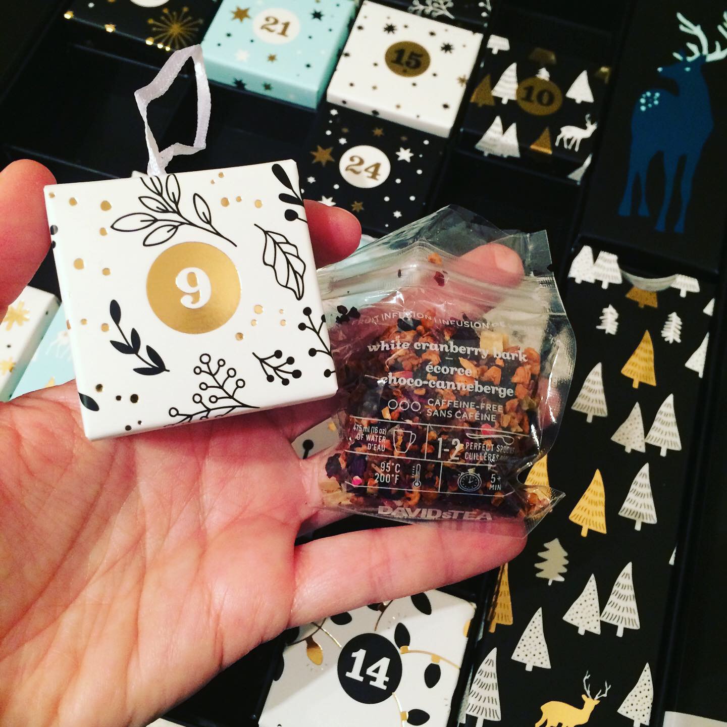 I Love Tea! DavidsTea Advent Calendar Day 9
