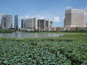 Baía de Nossa Senhora da Esperança Wetland Ecological Viewing Zone and casinos in the distance in 2019