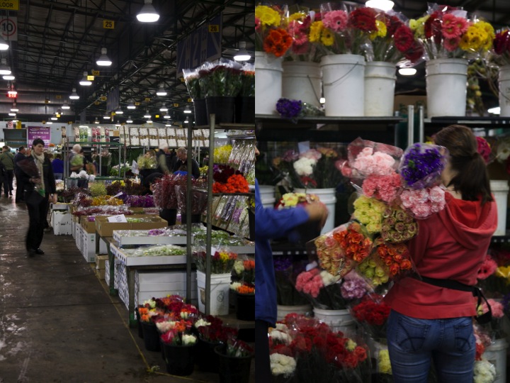 blooming lovely the sydney flower market