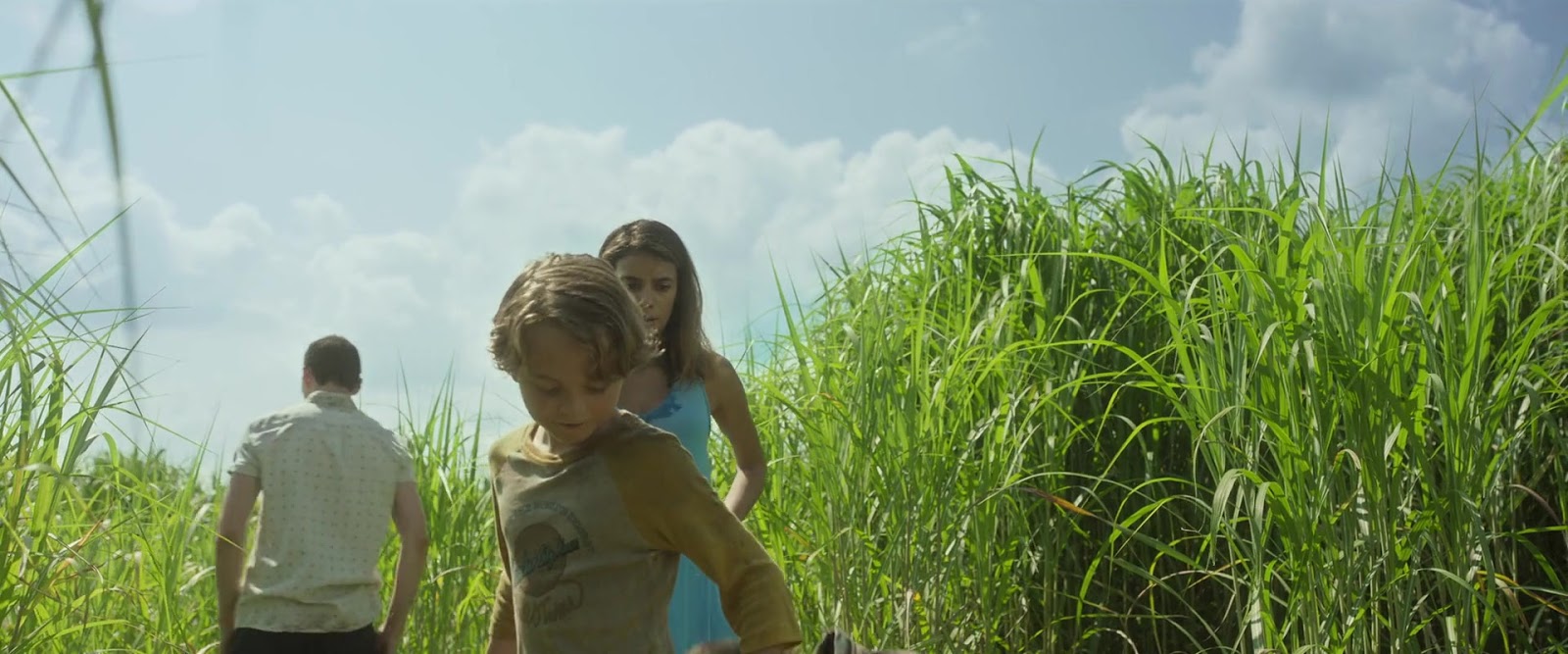 В высокой траве сюжет. In the tall grass. In the tall grass. Патрик уилсон в высокой траве. В высокой траве (in the tall grass) 2019.