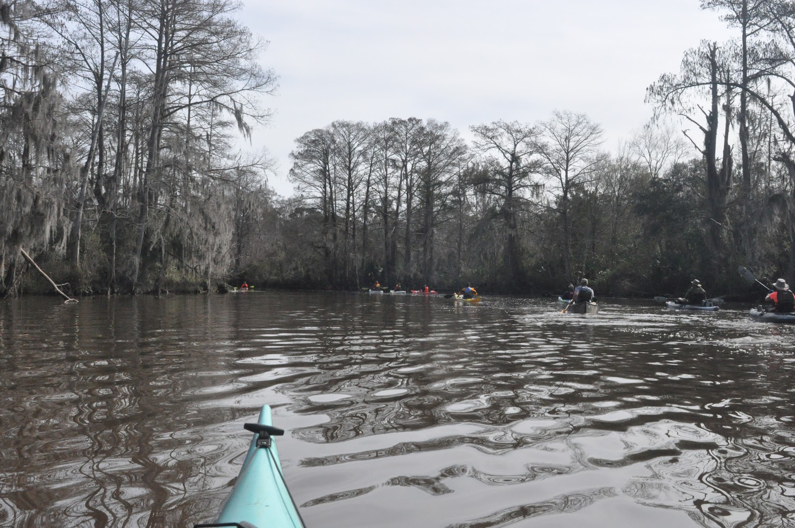 Southeastern Louisiana Paddling Paddling Bogue Homa Logtown