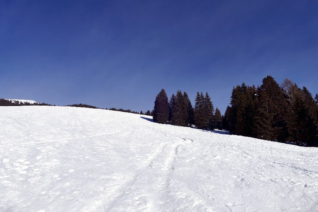 monte cornetto folgaria ciaspole