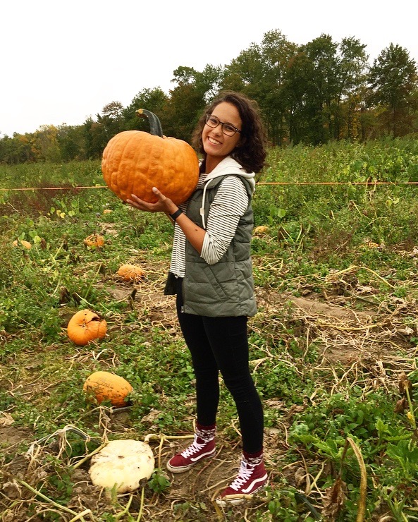 A Harmonious Combination Pumpkin Picking At Castle Hill Farm.