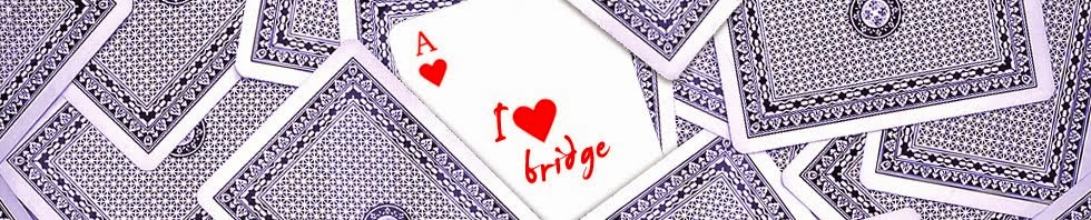 Bridge for Fun