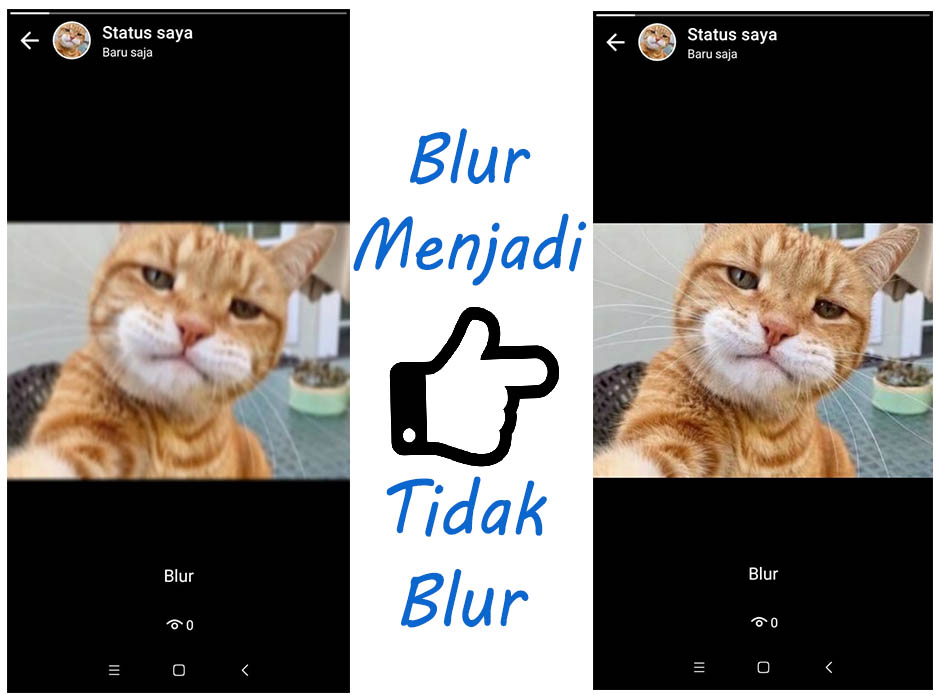 Aplikasi Pengedit Foto Terbaik