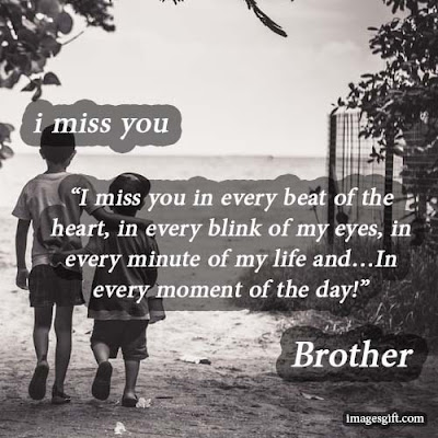heart touching lines for brother