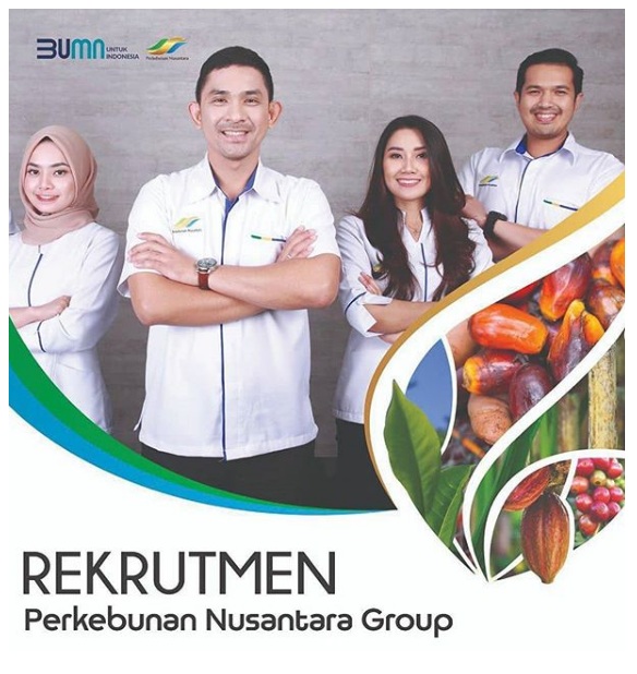 Lowongan Kerja BUMN Perkebunan Nusantara Group Juli 2020 | Bursa