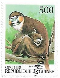Selo Macacos Selo Macacos