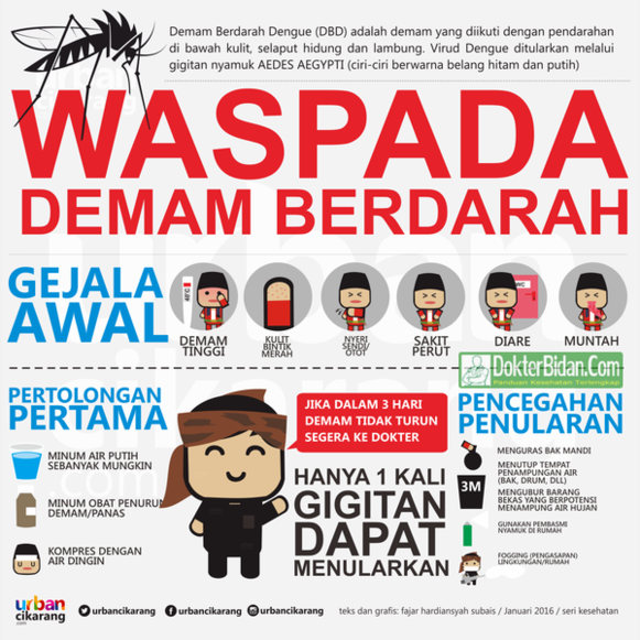 Demam Berdarah Dengue DBD - Penyebab Gejala Penanganan dan Cara Mengobatinya Demam Berdarah Dengue DBD - Penyebab Gejala Penanganan dan Cara Mengobatinya