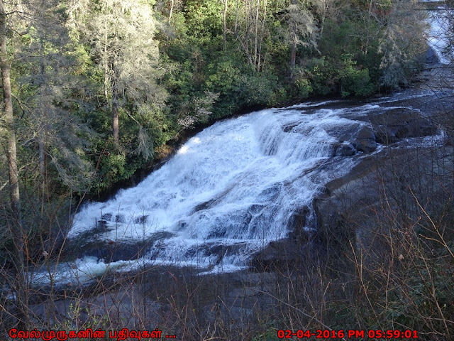 DuPont State Forest Water Falls Hike