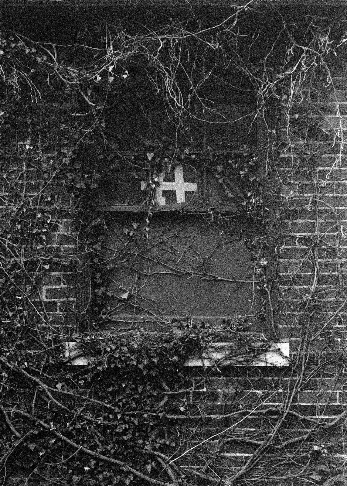 Spotlight Nikkorex F