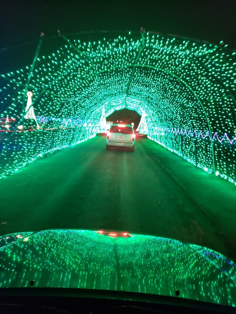 Twelve Makes a Dozen Christmas Adam