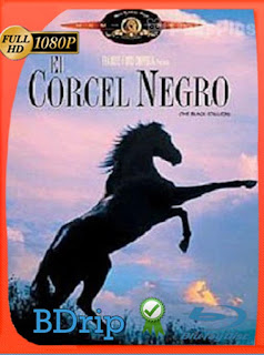 El corcel negro (1979) BDRIP 1080p Latino [GoogleDrive] SXGO