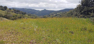 looking for vasquez peak