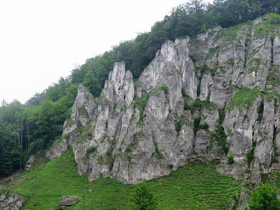 Rękawica rekawica