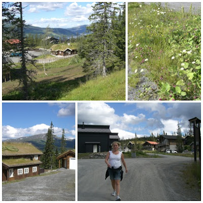 %25C3%2585repromenader - Åre sommaren 2011