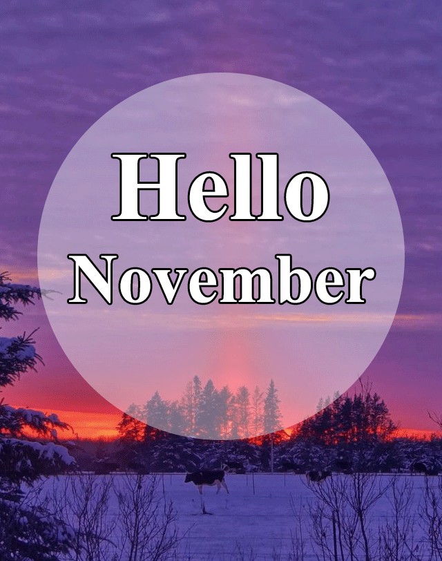 Trọn Bộ Hình Ảnh Chào Tháng 11 Đẹp Nhất, Hello November 2020