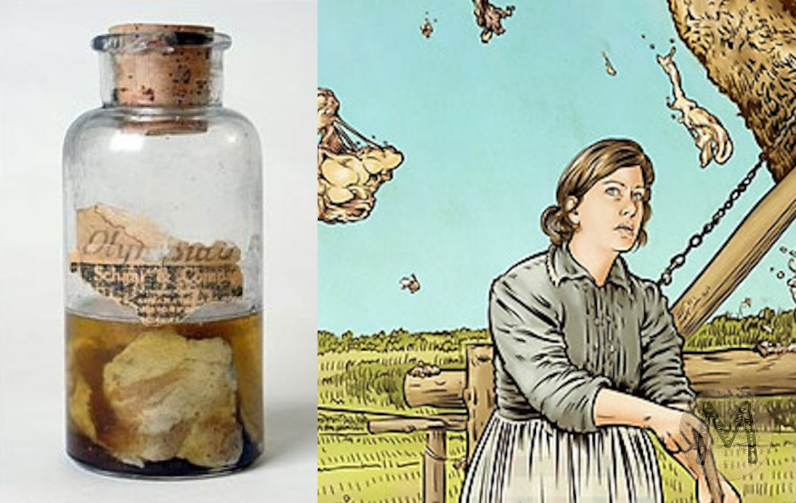 Fenomena Aneh Hujan Daging di Kentucky (Kentucky Meat Shower