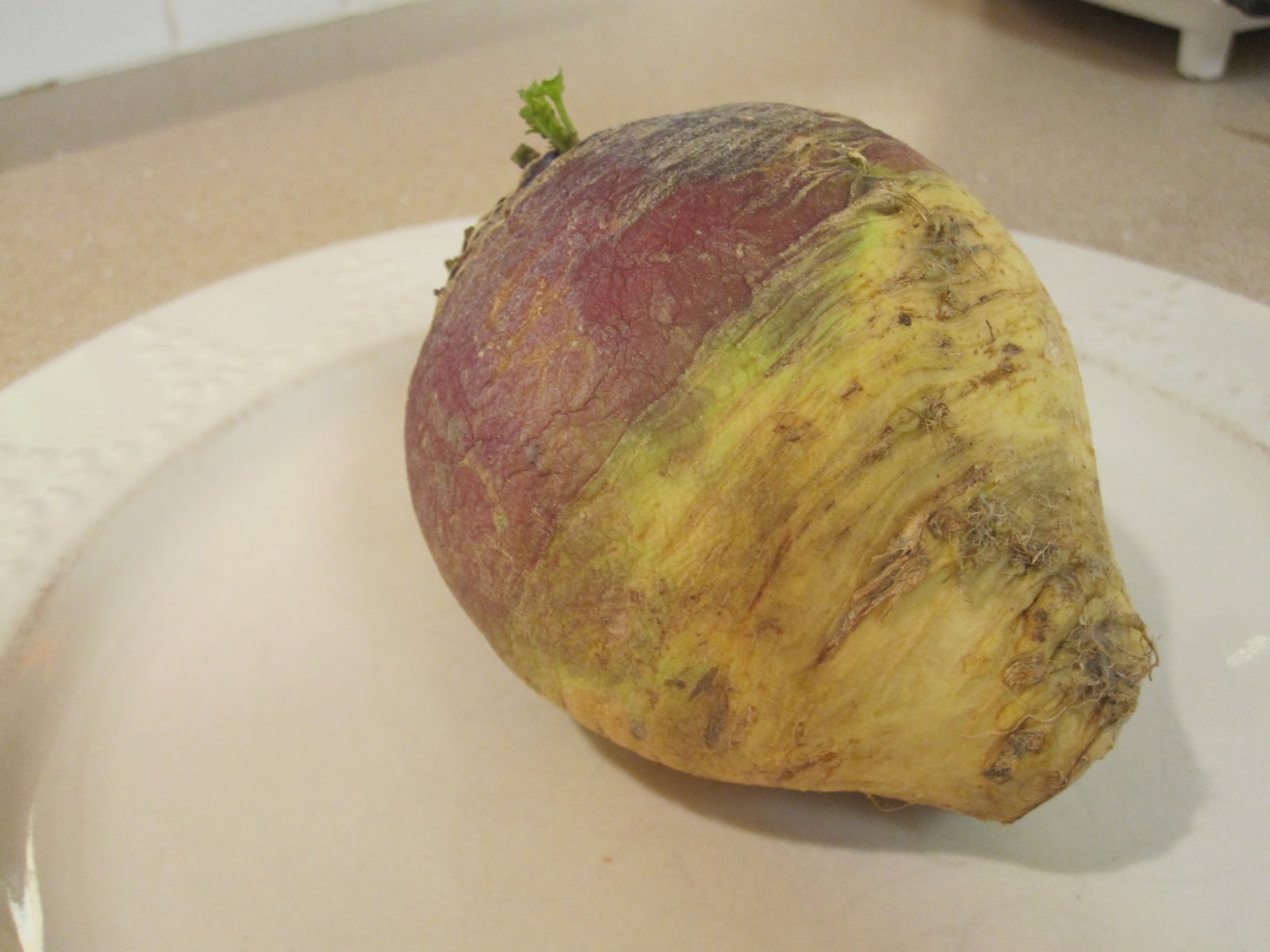 Cannundrums Rutabaga or Swede