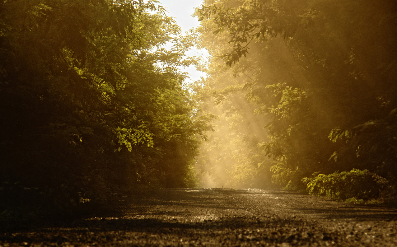 Pastila cu informaţie Concurs Foto cu premii