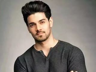 Sooraj Pancholi Filmography, Roles, Verdict (Hit / Flop), Box Office Collection, And Others