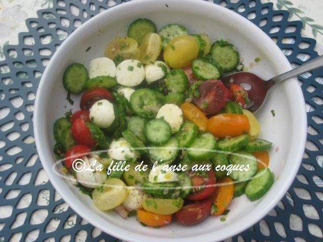 Salade de tomates citron-chèvre de MiniCook