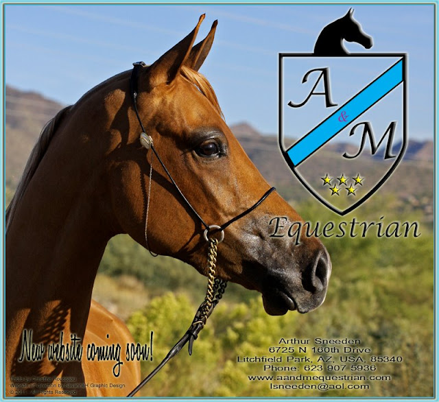 Riding fast on a horse image