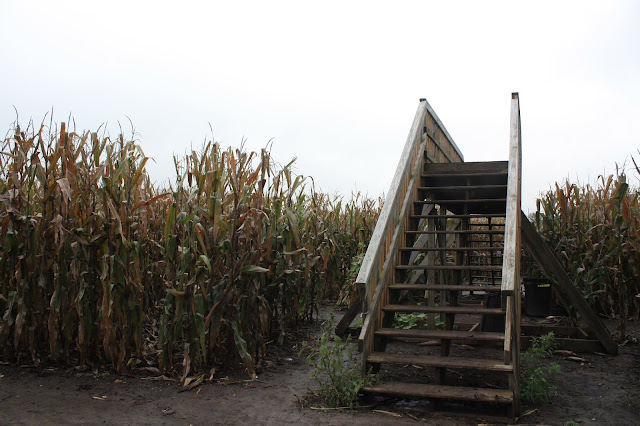 Bridges in the corn maze are not only fun but help you determine where you are inside of the Richardson Corn Maze.