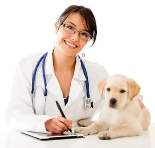 ￼ Veterinarian