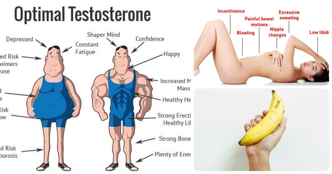 Q alimentos contienen testosterona