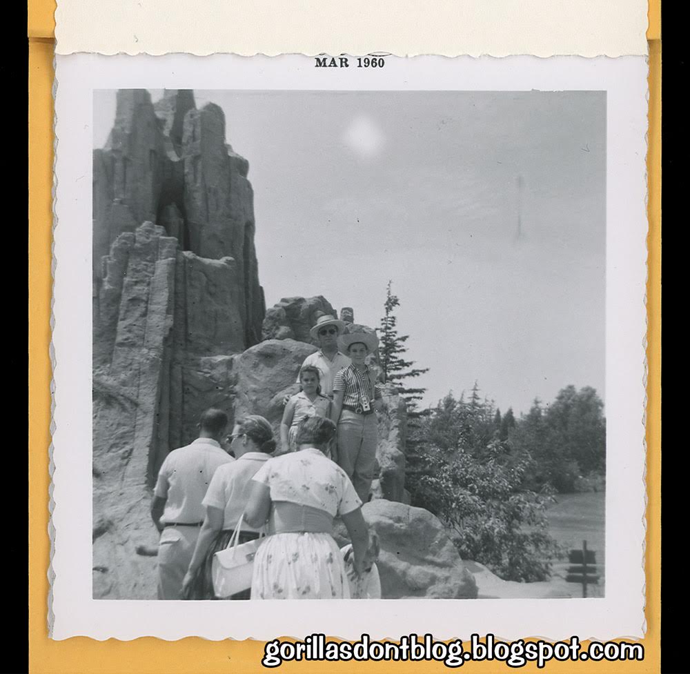 GREYS GRAYS DRUG STORES visual data 8