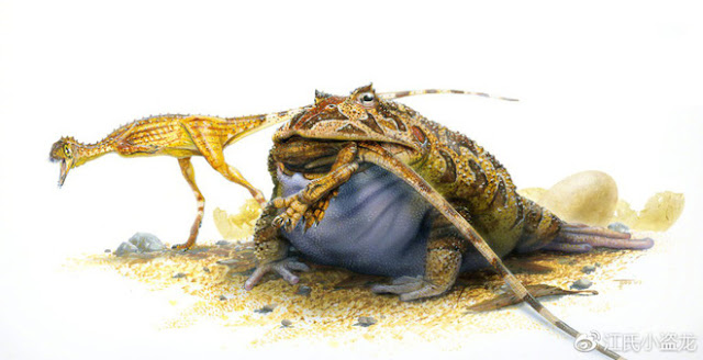 Loài ếch Beelzebufo kỳ lạ có thể nuốt trọn khủng long khổng lồ tới mức nào?