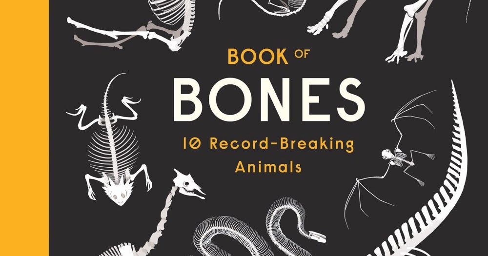 bones & all book bones & all book