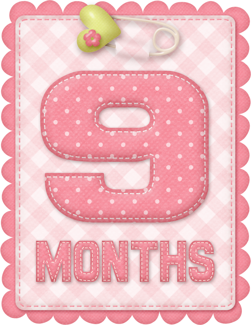 Free Printable Baby Month Counter for Girls. Oh My Baby!