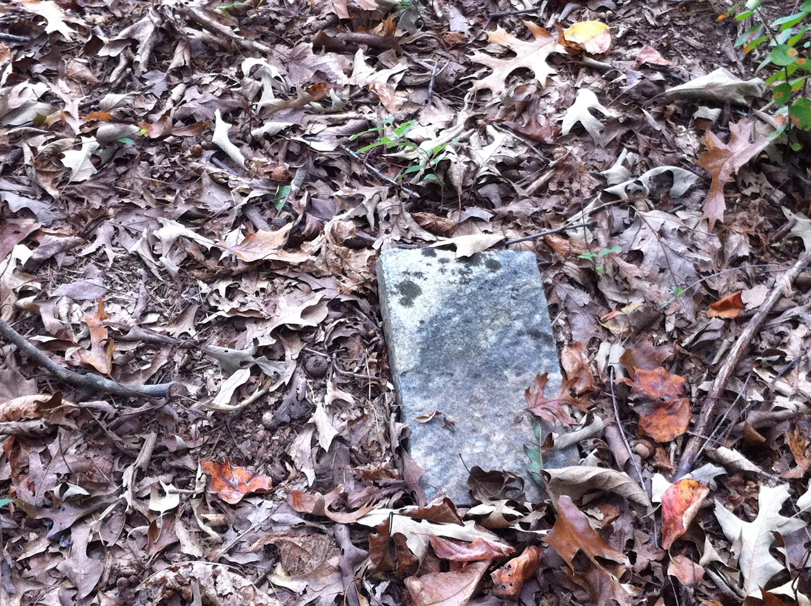 Backyard Historian Enon Cemetery