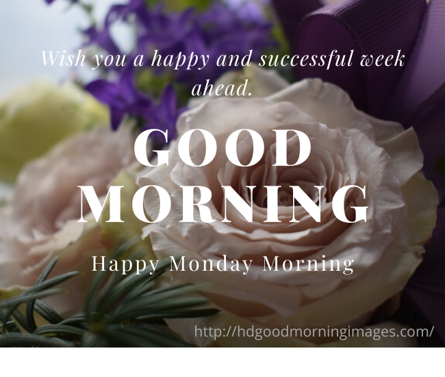 Good Morning Monday Images for WhatsApp Good Morning Monday Images for WhatsApp