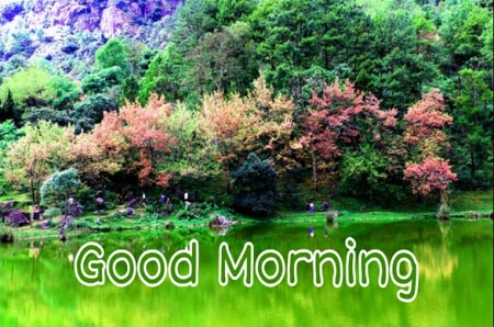 Good morning Images Good morning Images