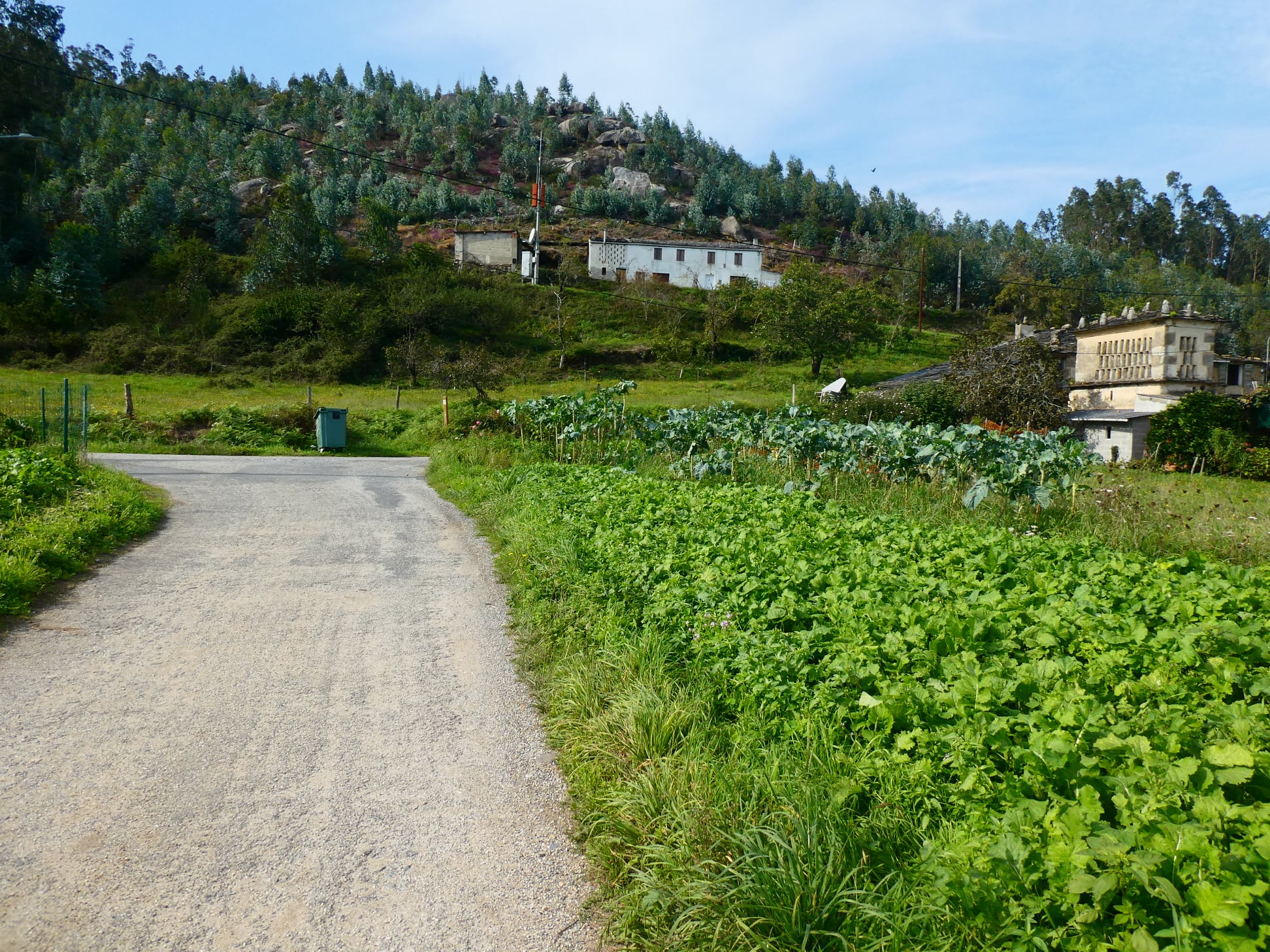 Xurde Morán VILOALLE, EL COTO DA