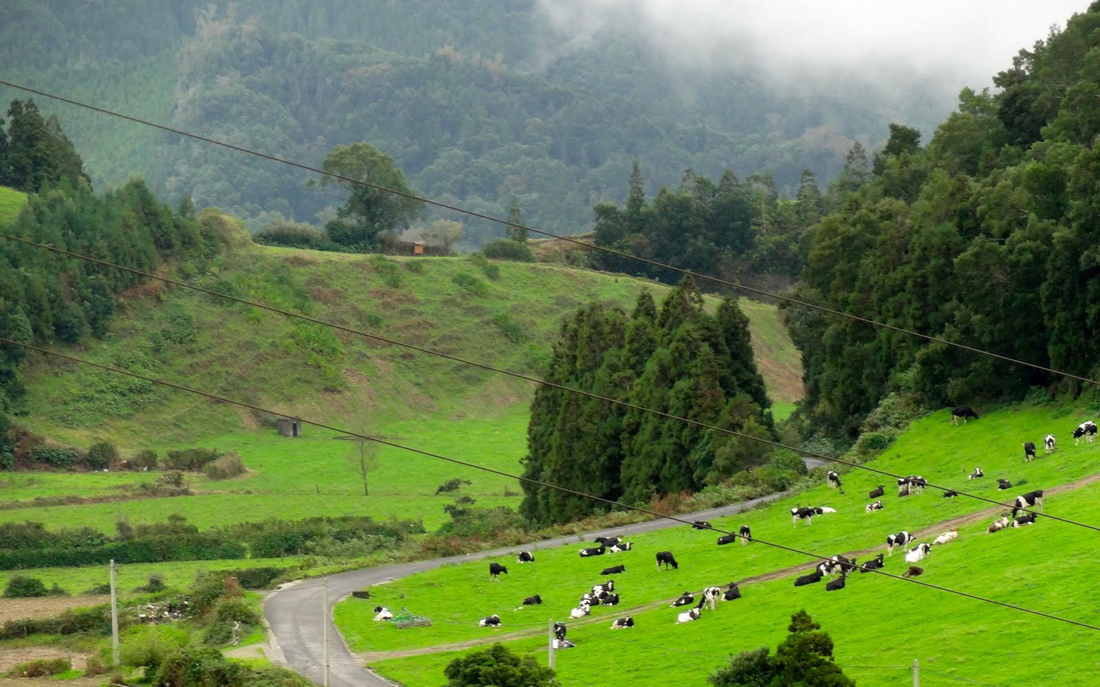 Finsatsea October 30 Punta Delgada, Azores