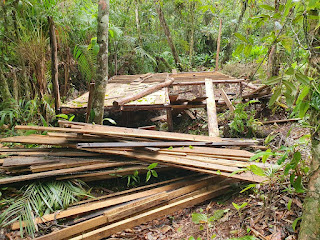 Fiscais encontraram o início de uma edificação de madeira | Foto: Divulgação/PMSS