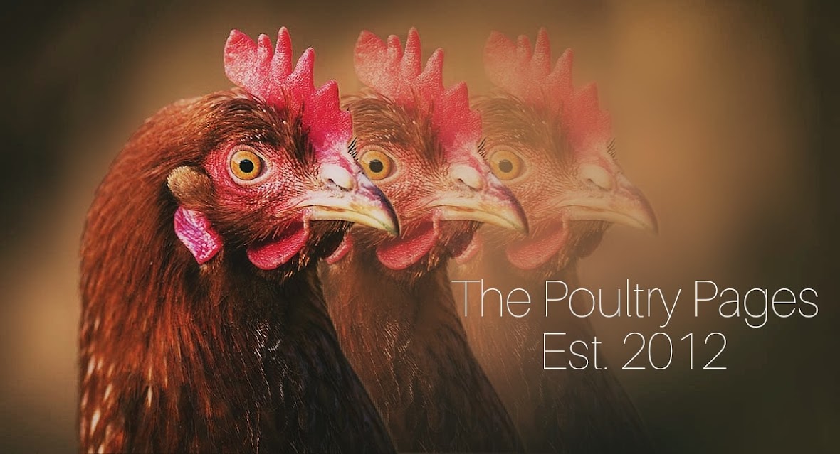 The Poultry Pages