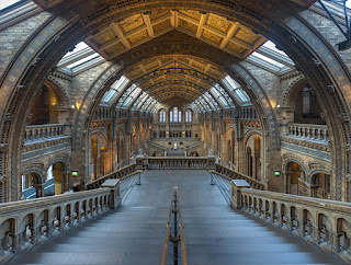 https://commons.wikimedia.org/wiki/File:Natural_History_Museum_Main_Hall,_London,_UK_-_Diliff.jpg