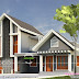 Modern sloping roof house in 2 color options