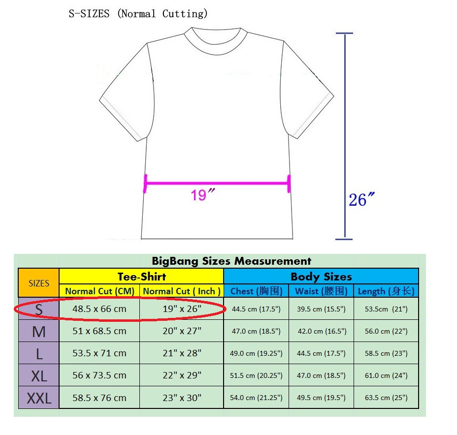 Big Bang t-shirt ( 2013 new design)