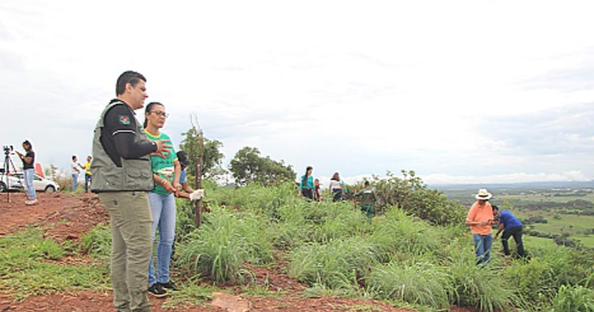 UNAIENSES UNAÍMG Projeto da Prefeitura com Instituto Estadual de Florestas começa por UNAIENSES UNAÍMG Projeto da Prefeitura com Instituto Estadual de Florestas começa por