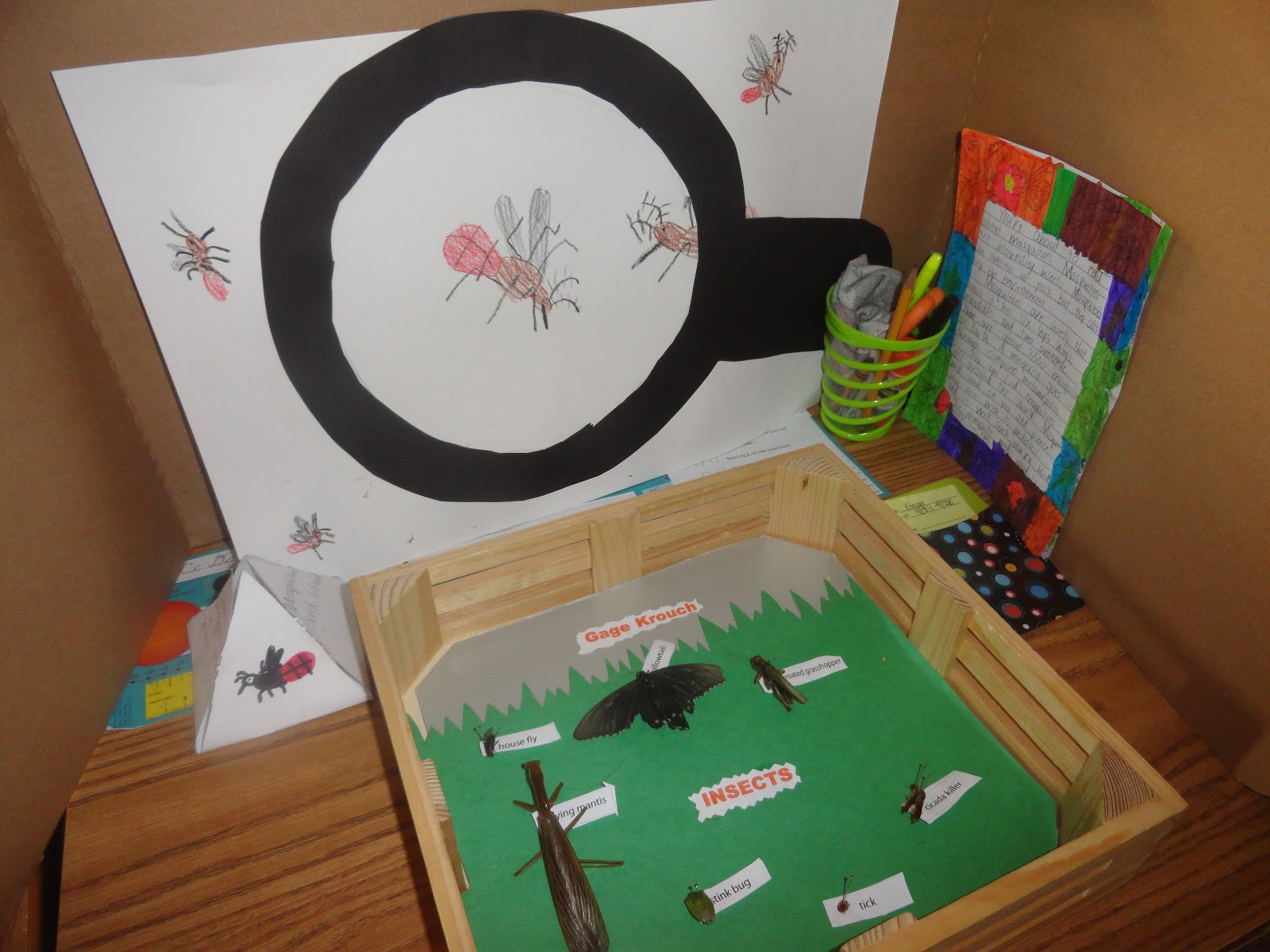 Adventures in Third Grade: Welcome to Our Insect Parade