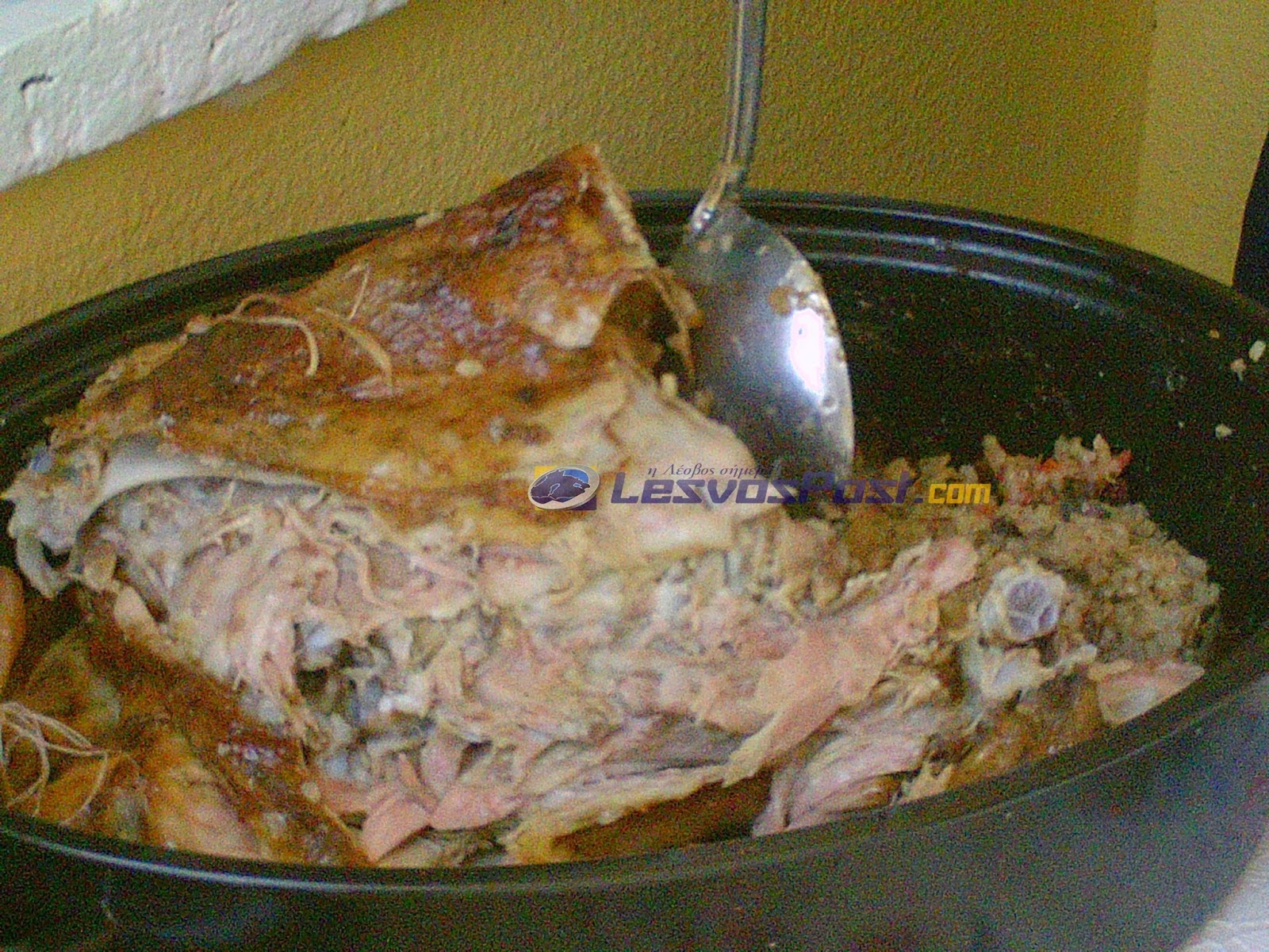 ÎÏÎ¿ÏÎ­Î»ÎµÏÎ¼Î± ÎµÎ¹ÎºÏÎ½Î±Ï Î³Î¹Î± Î±ÏÎ½Î¹ ÏÎ±ÏÎ±Î³ÎµÎ¼Î¯Î¶Î¿ÏÎ½ Î¼Îµ ÏÎ¿Î½ÏÏÏ ÏÎ¹ÏÎ¬ÏÎ¹ Î±Î»ÎµÏÎ¼Î­Î½Î¿ ÏÏÎ¿ ÏÎµÏÏÎ¼ÏÎ»Î¿)