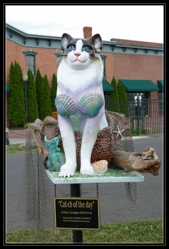 Fabulous Felines Frolicking the Streets of Catskill Cat'n Around